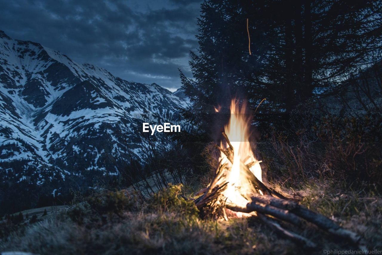 Bonfire on log in forest against sky