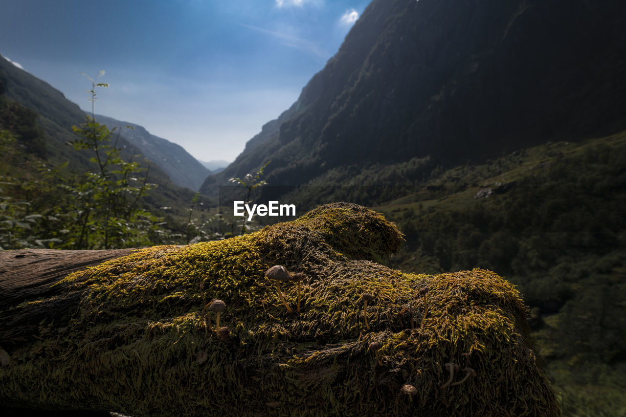 PANORAMIC VIEW OF MOUNTAIN AGAINST SKY