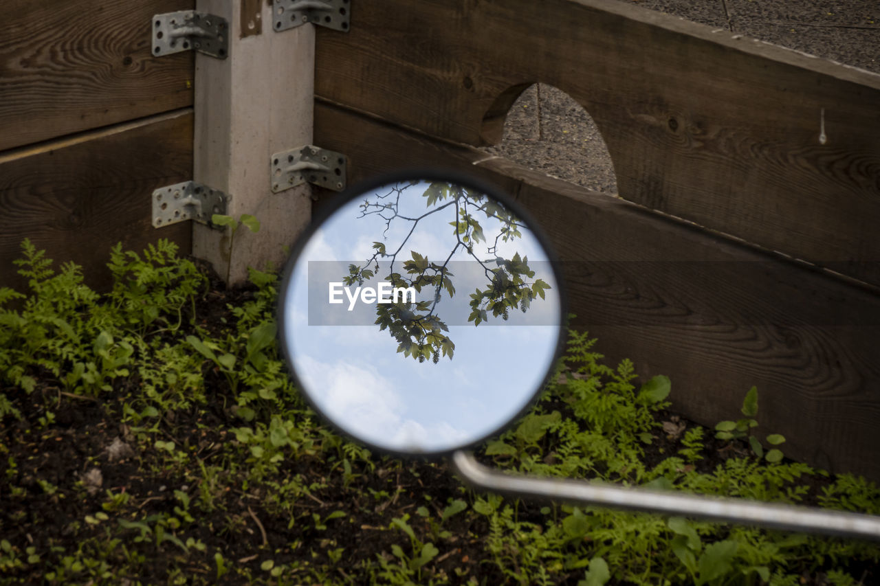 DIRECTLY ABOVE SHOT OF PLANTS AND TREES