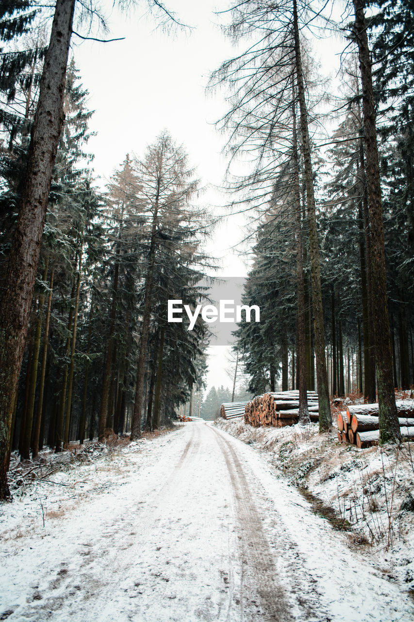 Road amidst snow covered trees in forest