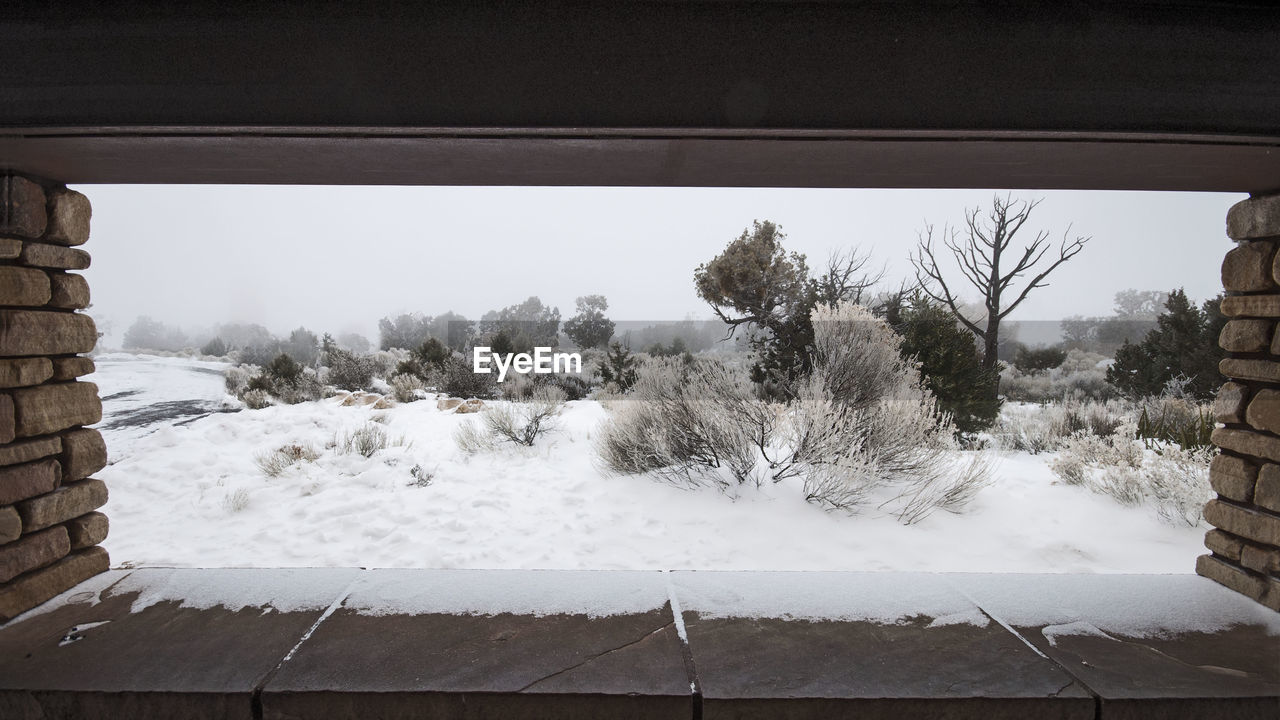 Snow covered trees against sky seen through window