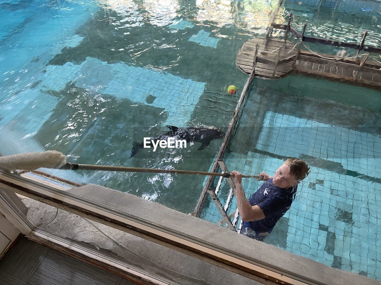 HIGH ANGLE VIEW OF SHIRTLESS MAN SWIMMING IN POOL
