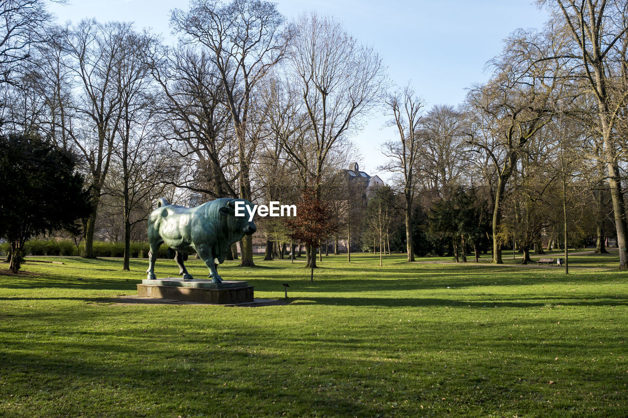 VIEW OF HORSES ON FIELD