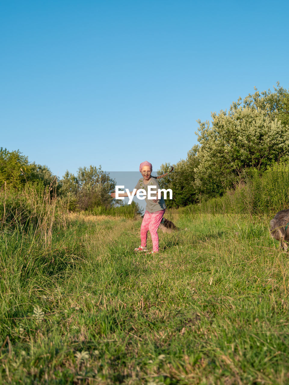 Little girl hugging playing with dog walking spending time together. child with pet in summer meadow