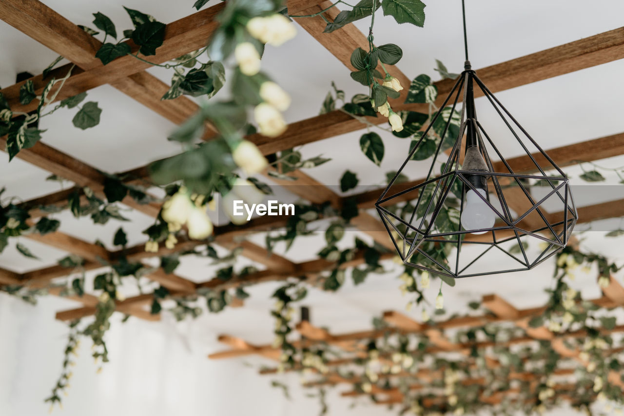 Low angle view of decoration hanging on tree