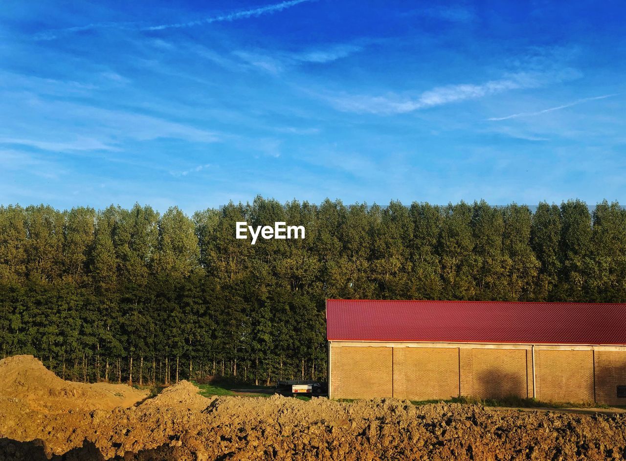 Trees growing on field against sky