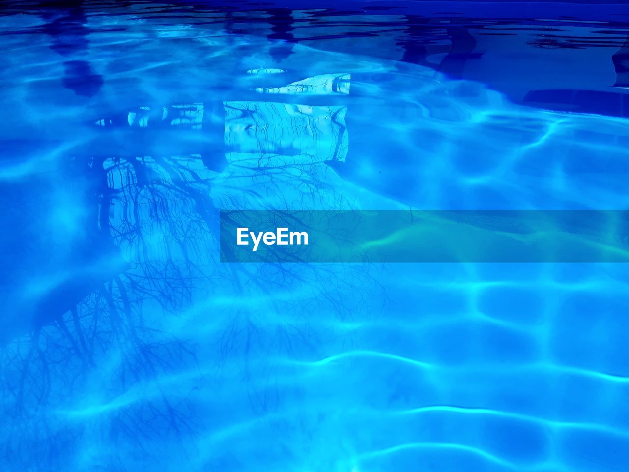 HIGH ANGLE VIEW OF SWIMMING IN POOL