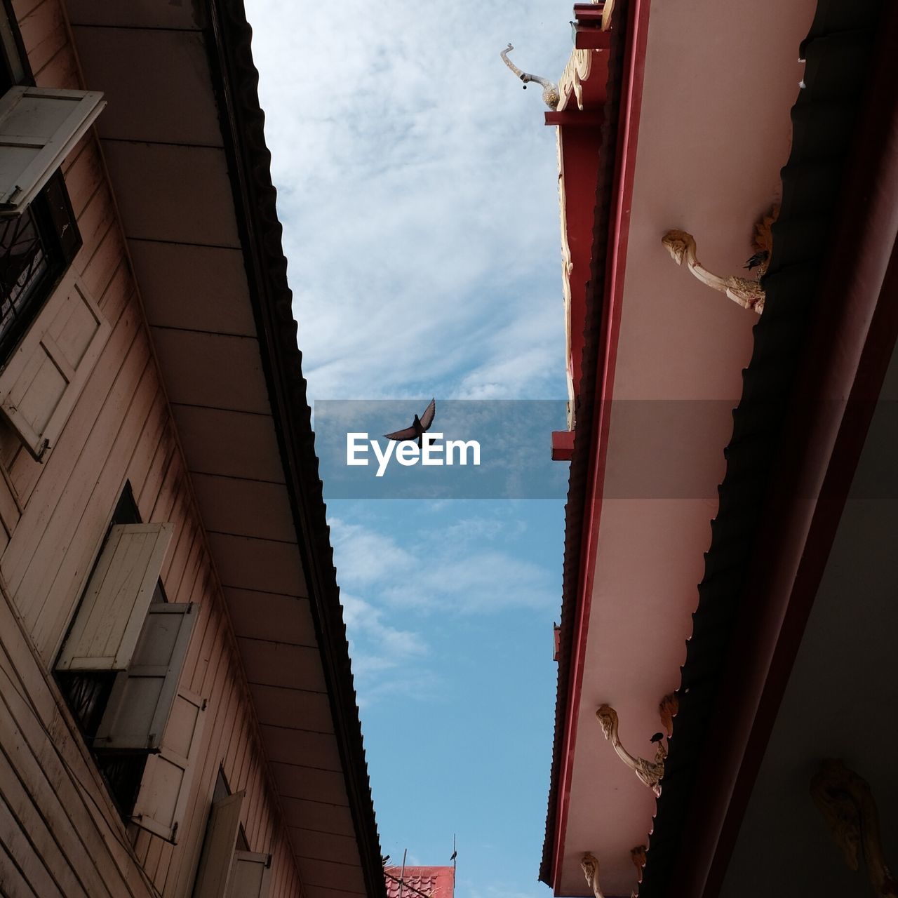 LOW ANGLE VIEW OF MAN FLYING OVER BUILDINGS