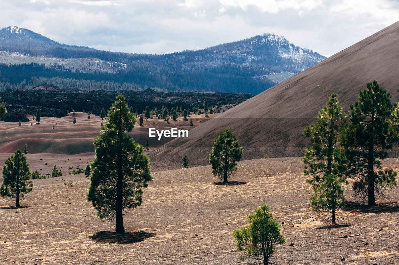 Scenic view of landscape and mountains against sky