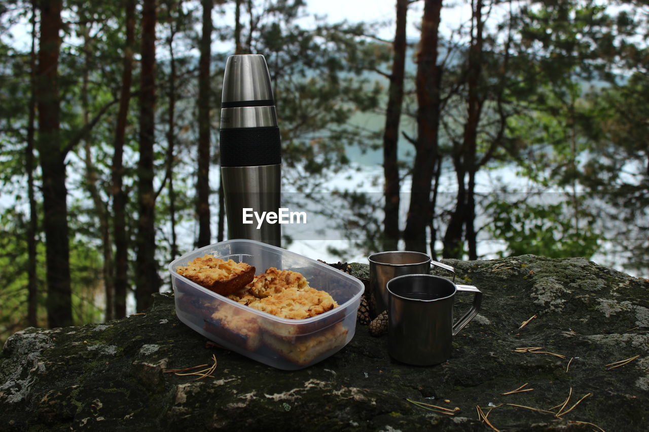 High angle view of tea with sweet food on rock against trees in forest