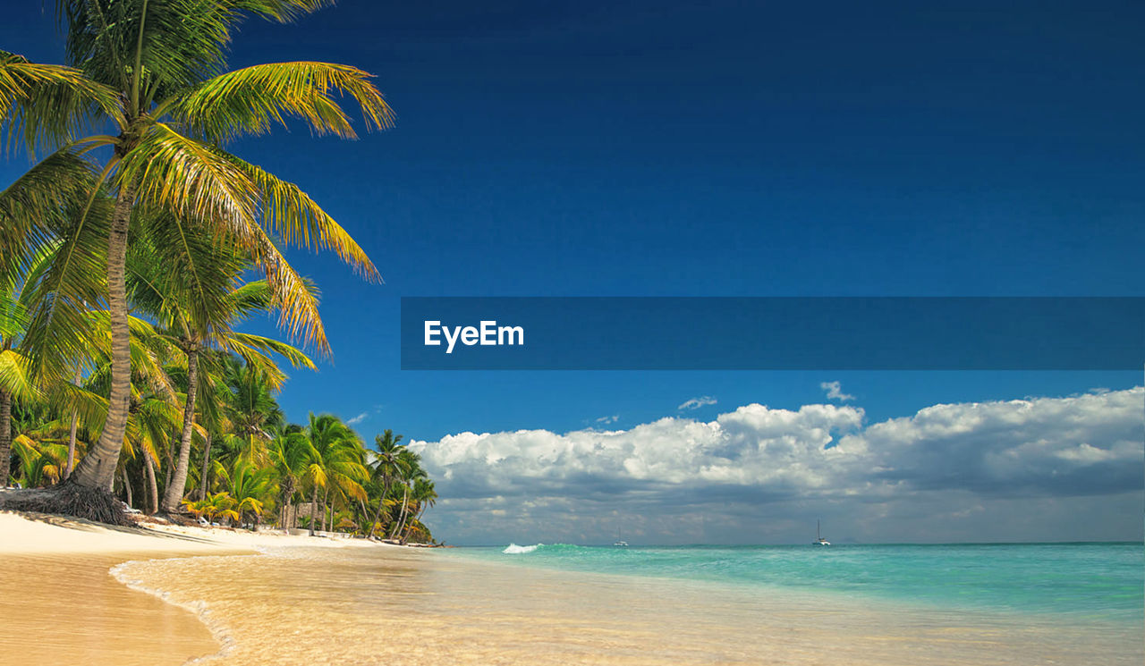 Scenic view of beach against blue sky