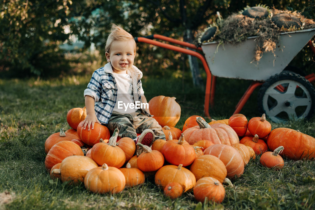 A smiling kid in a plaid shirt is sitting on a large pile of orange pumpkins. harvest, autumn