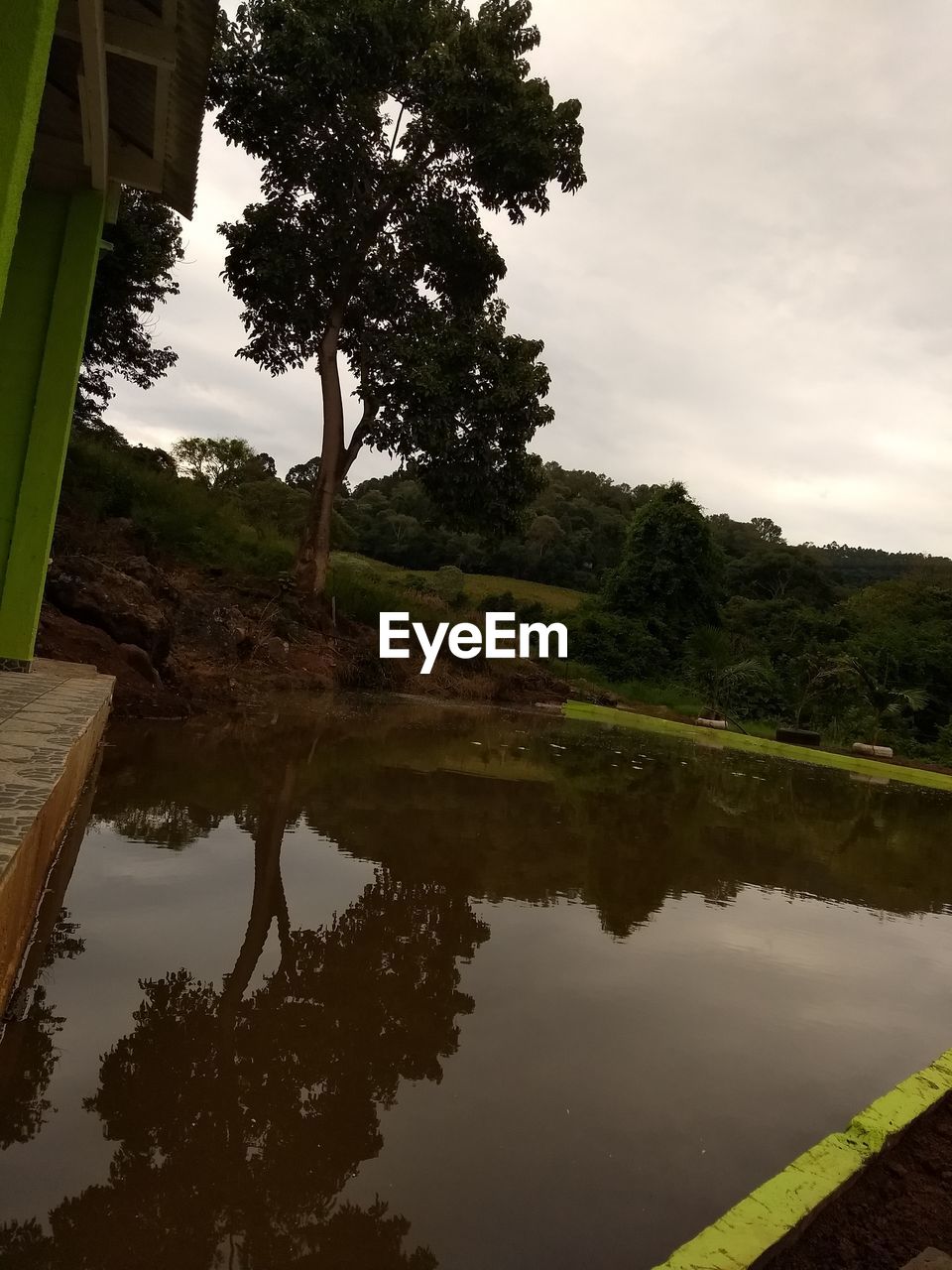 REFLECTION OF TREE IN LAKE AGAINST SKY