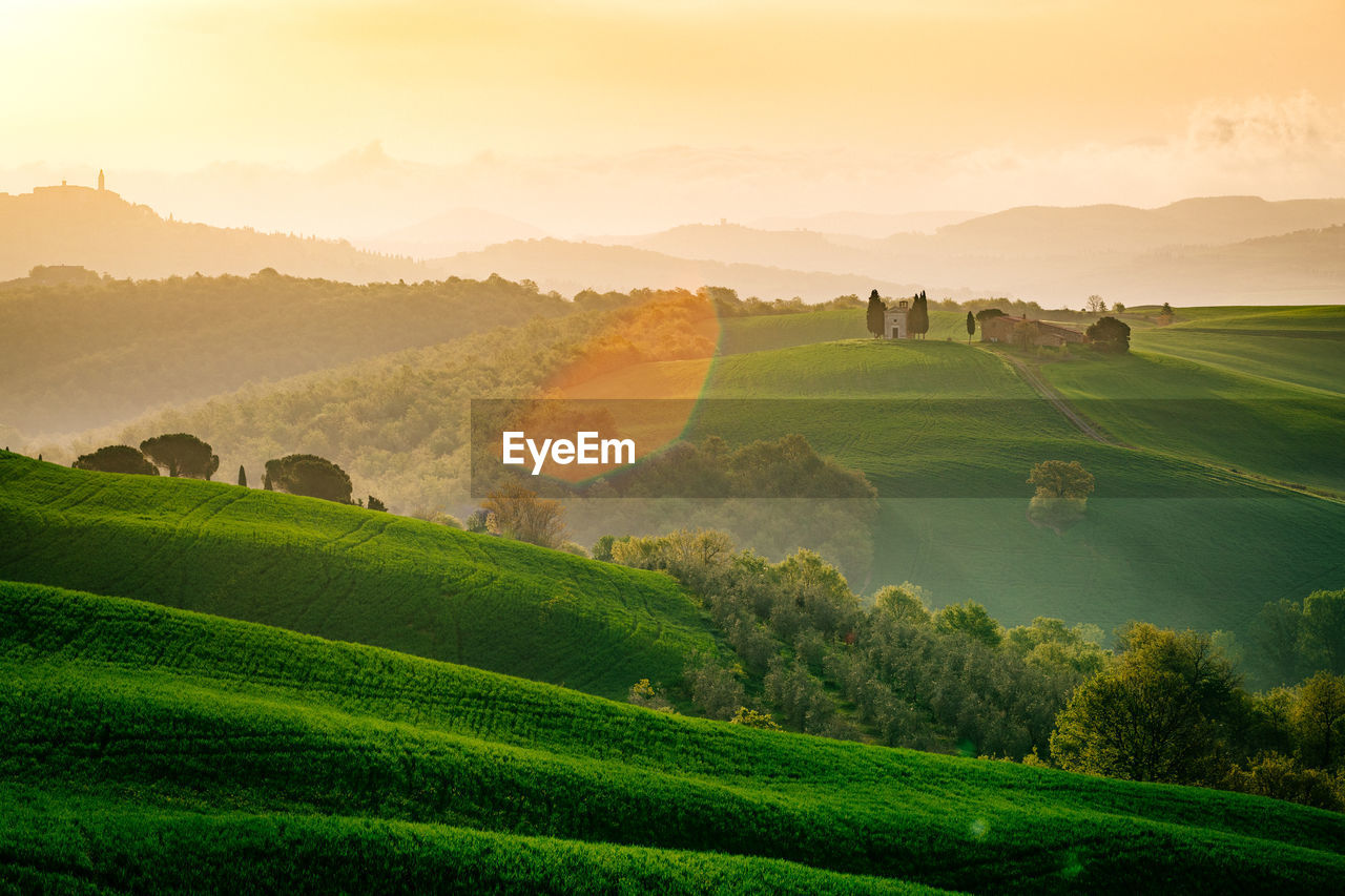 Scenic view of agricultural field against sky during sunset