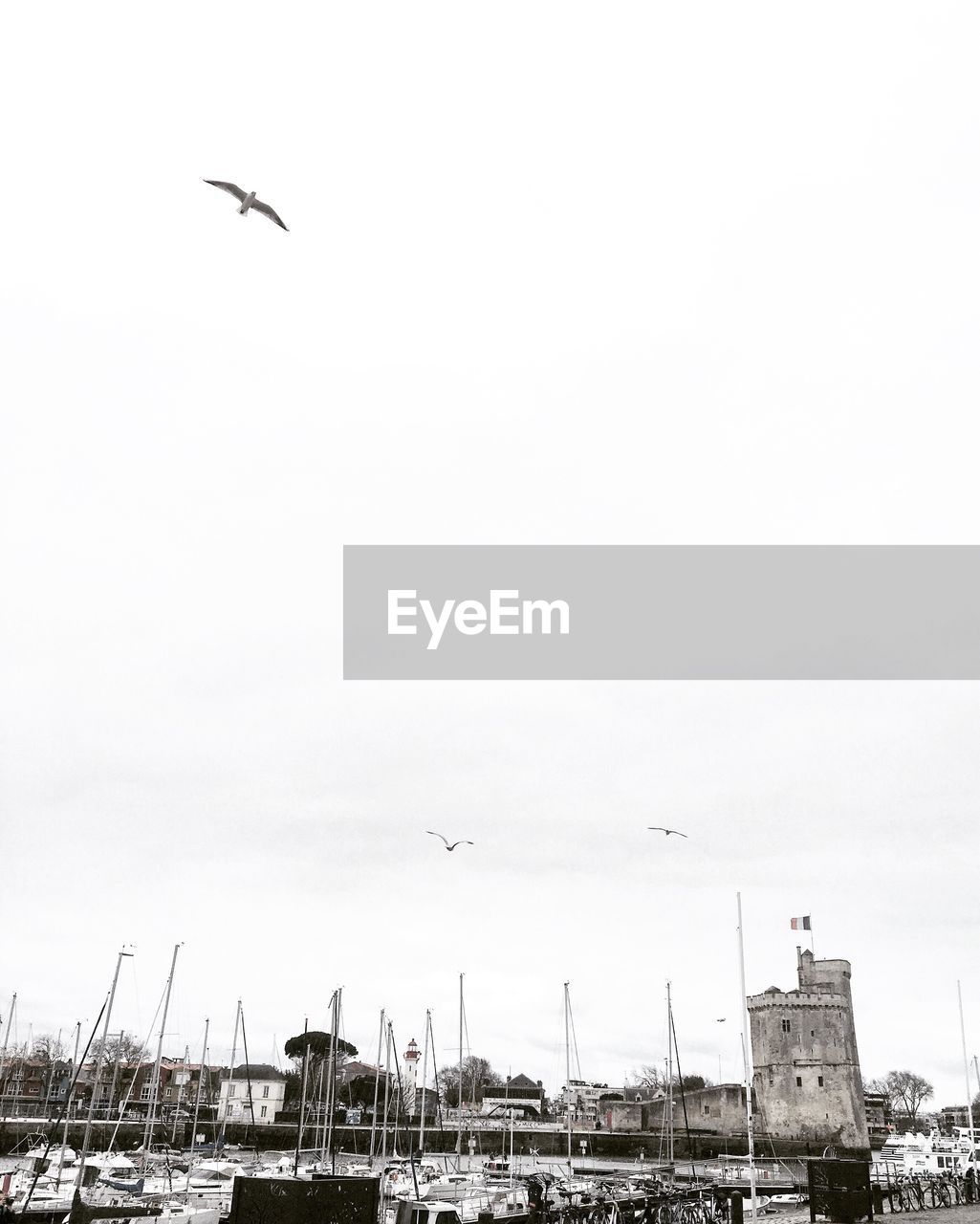 LOW ANGLE VIEW OF AIRPLANE FLYING OVER BUILDINGS AGAINST CLEAR SKY