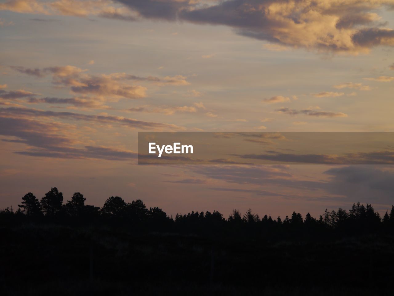 SCENIC VIEW OF SILHOUETTE TREES AGAINST SKY DURING SUNSET