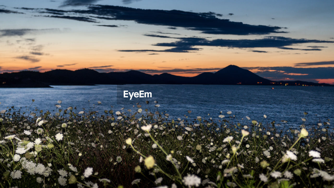 Scenic view of sea against sky during sunset