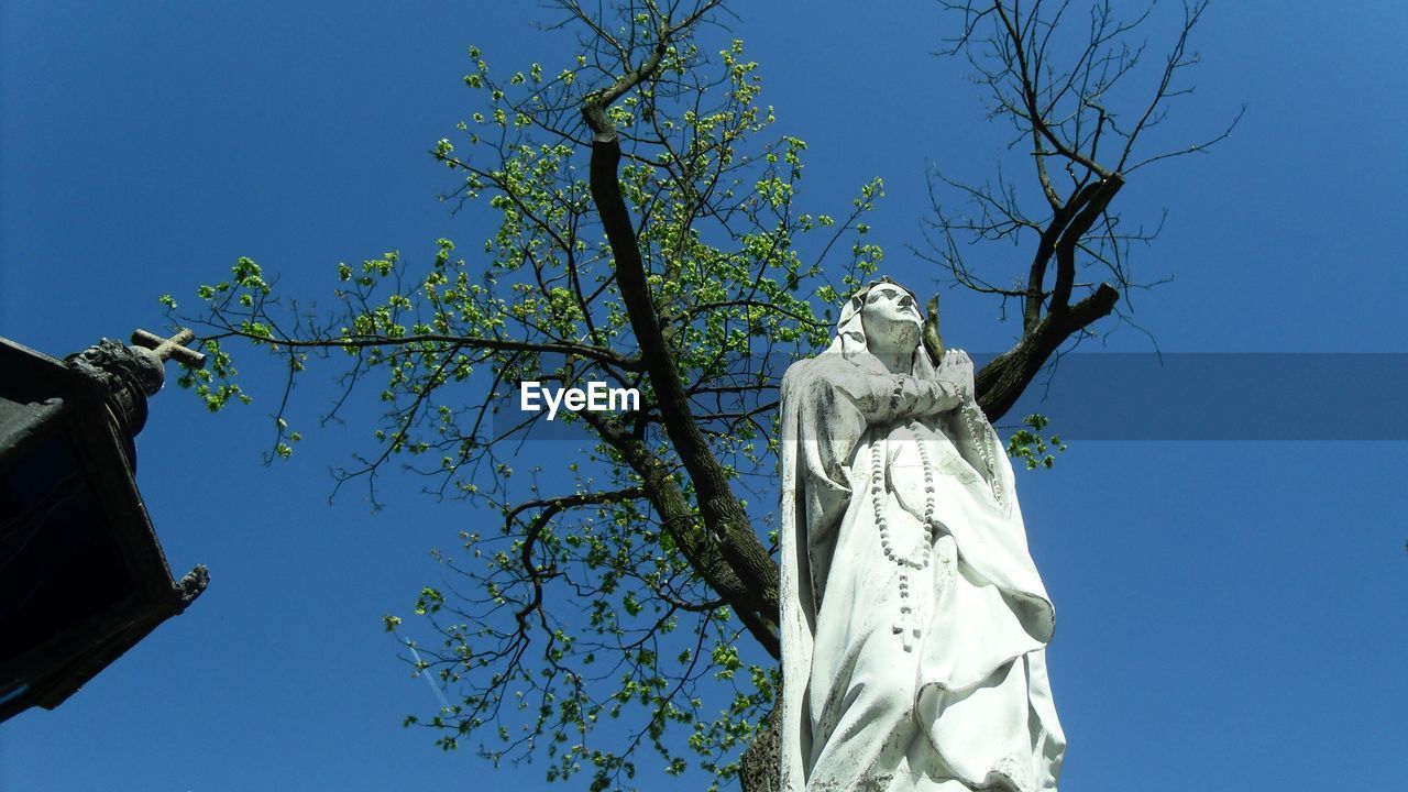 Low angle view of virgin mary statue by tree against clear blue sky