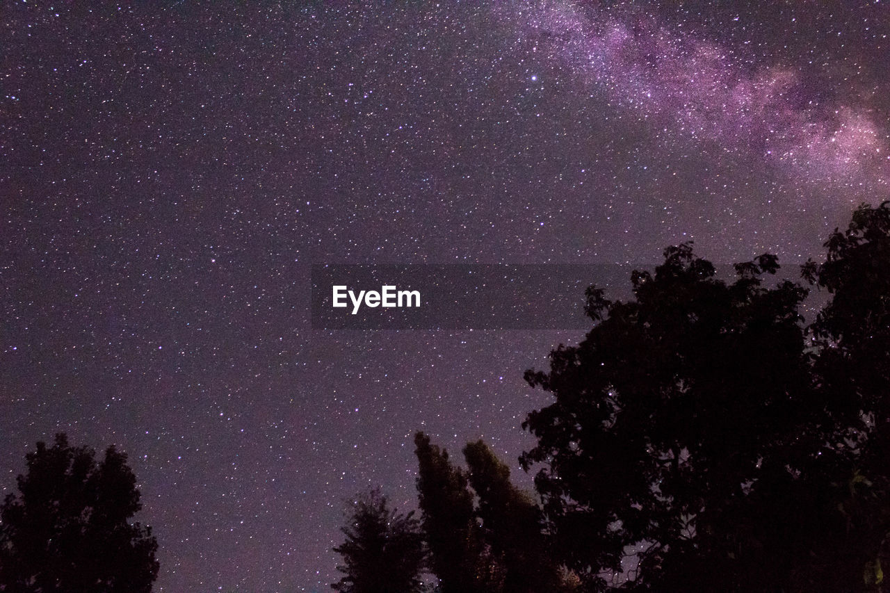 Low angle view of star field sky at night