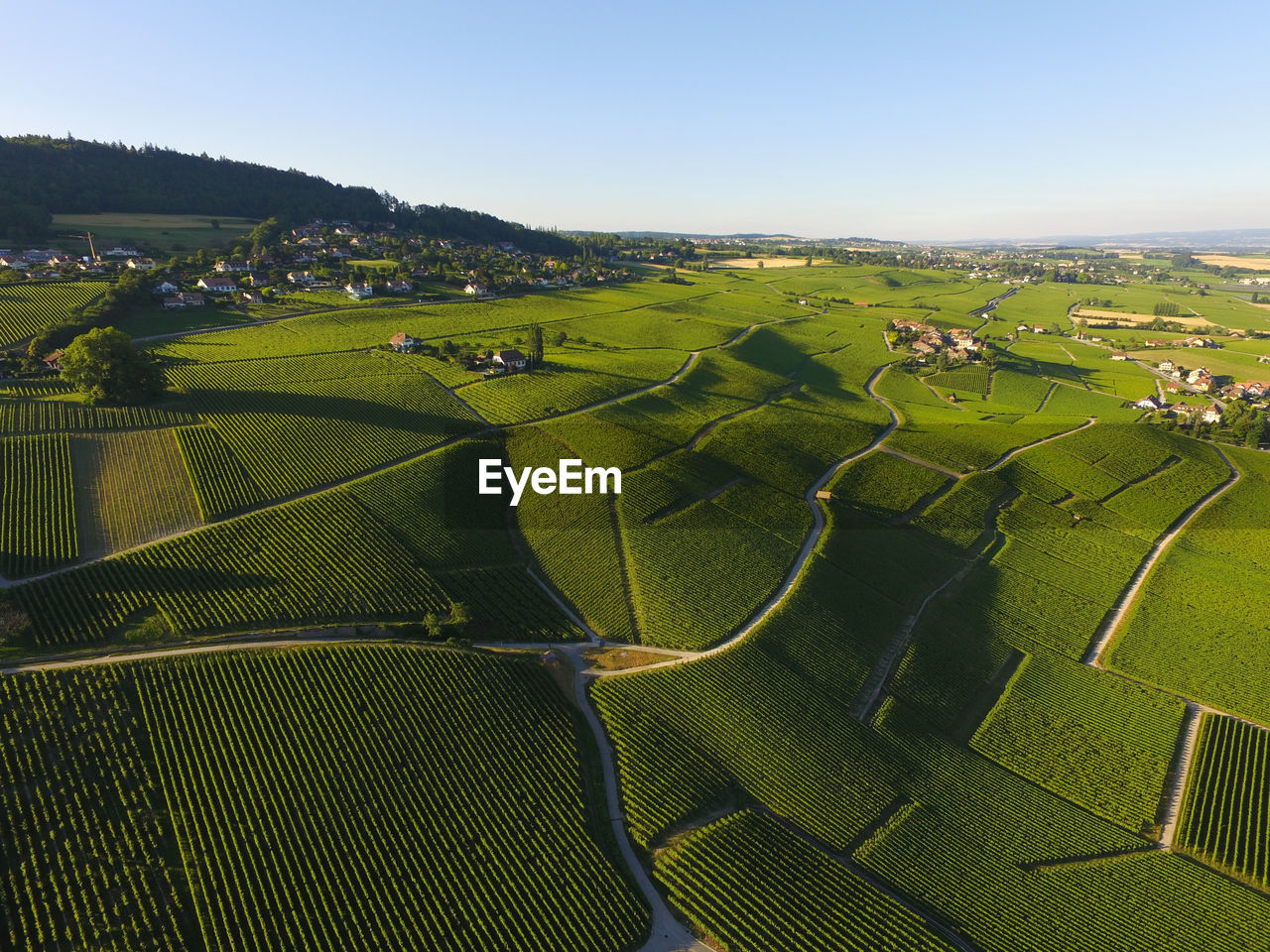 AERIAL VIEW OF AGRICULTURAL FIELD