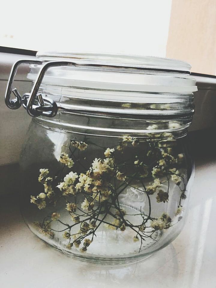 no people, table, flower, indoors, jar, freshness, close-up, fragility, day, white background, nature