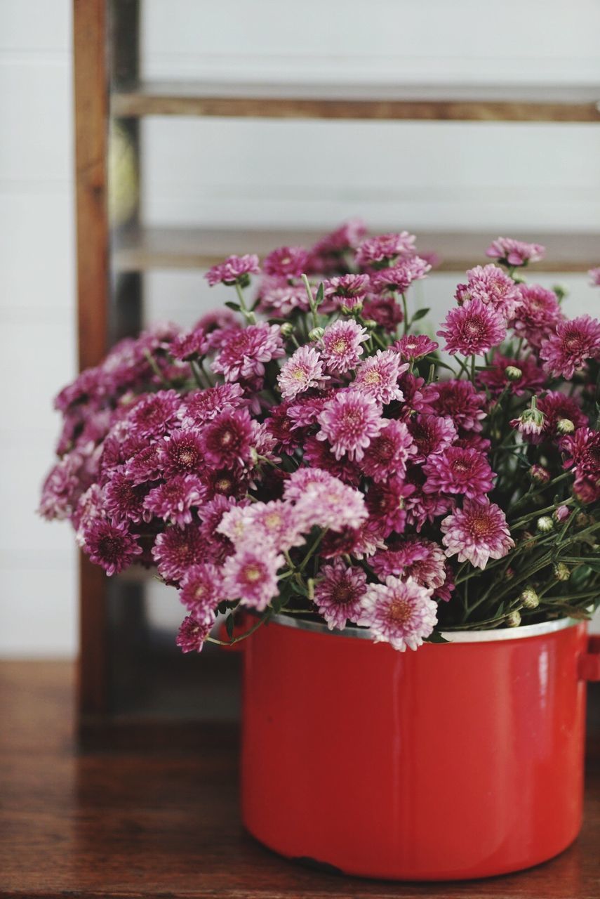 Pink flowers in red container on table at home