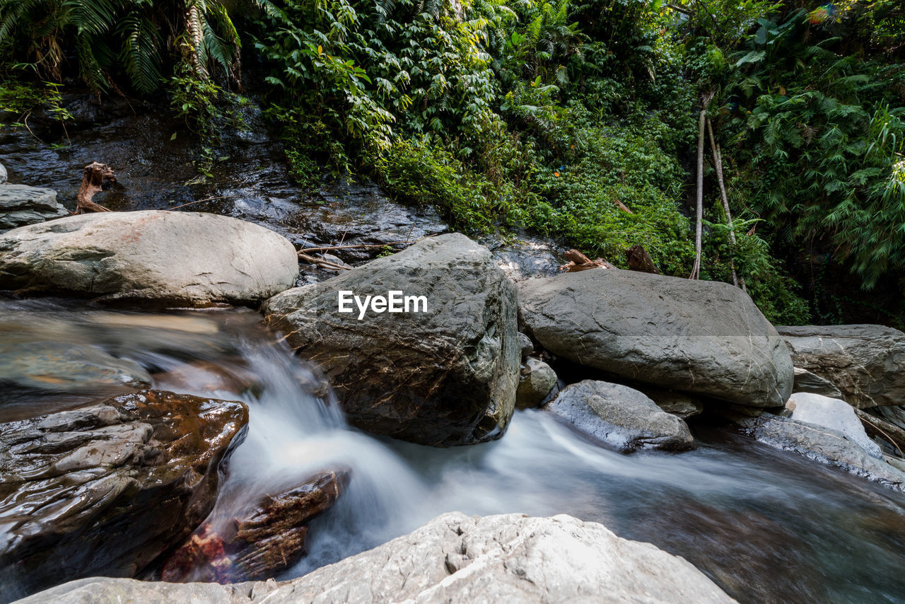 Stream flowing through rocks in forest