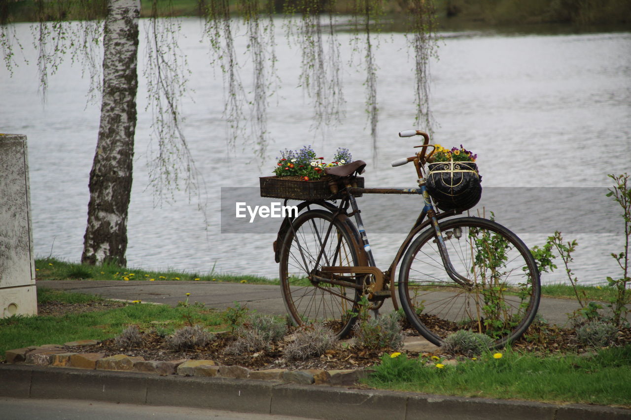 Bicycle by river