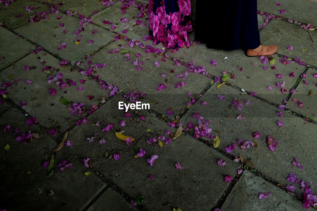 LOW SECTION OF MAN WITH PINK FLOWERS ON FLOOR