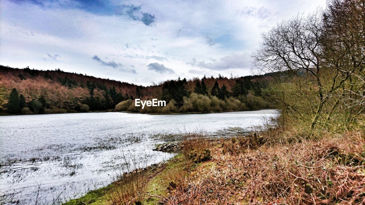 SCENIC VIEW OF RIVER AGAINST CLEAR SKY