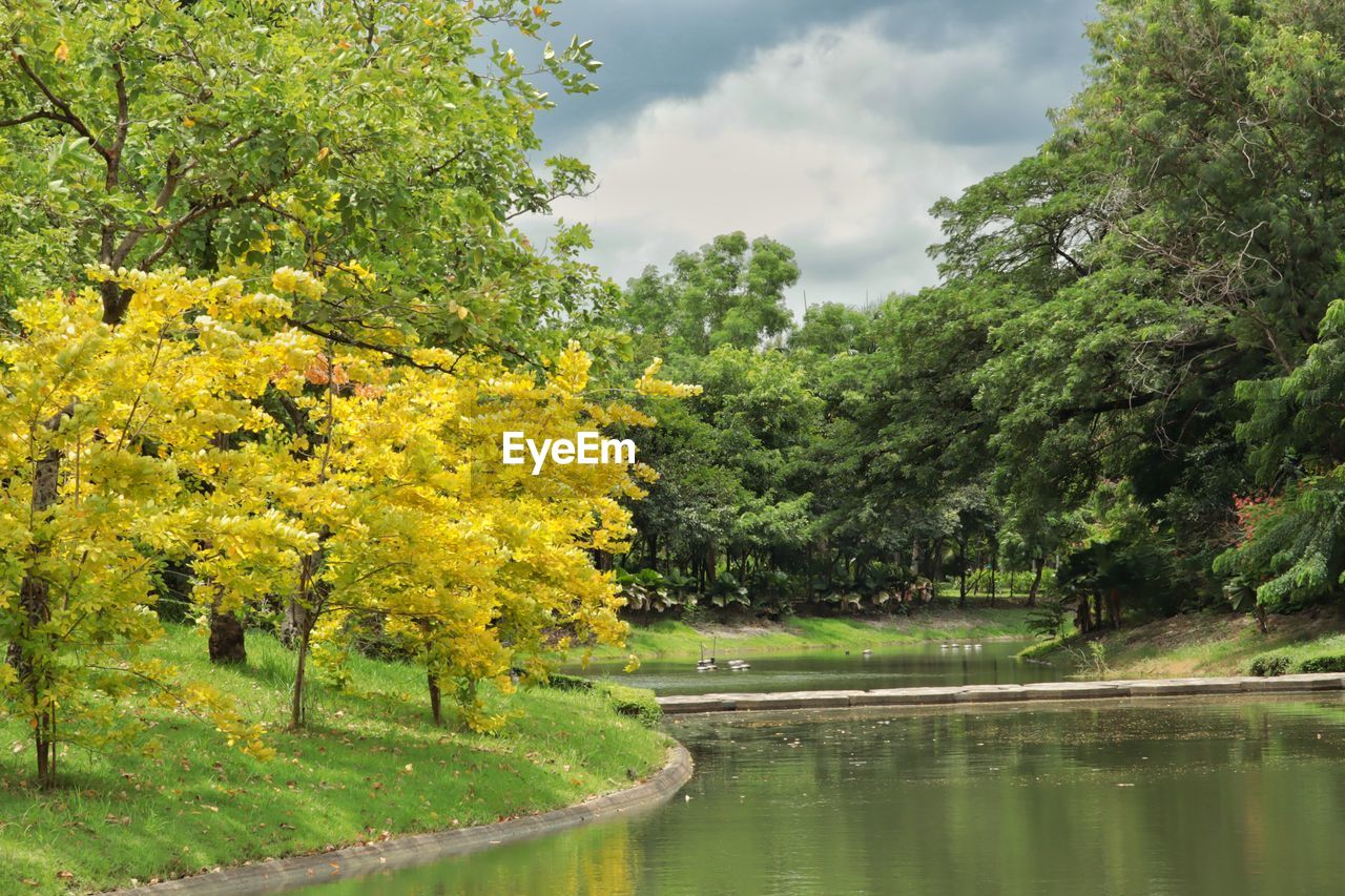 Scenic view of lake by trees against sky