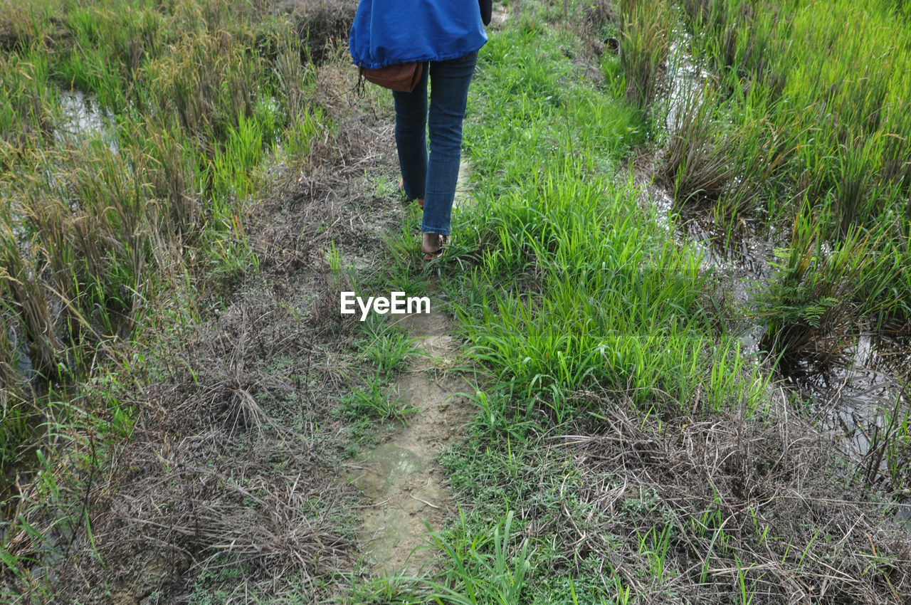 LOW SECTION OF WOMAN WALKING ON FIELD AMIDST PLANTS