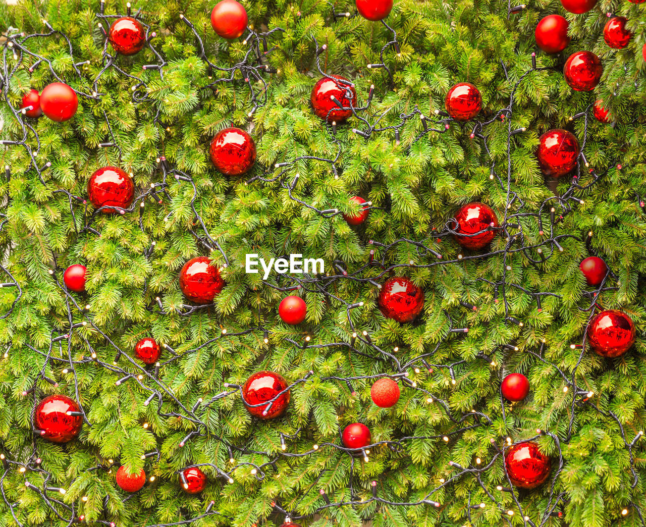 FULL FRAME SHOT OF RED CHRISTMAS TREE IN APPLES