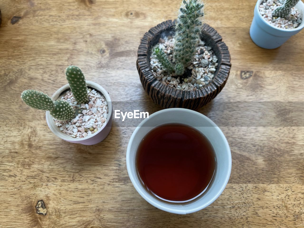HIGH ANGLE VIEW OF TEA CUP AND CACTUS ON TABLE