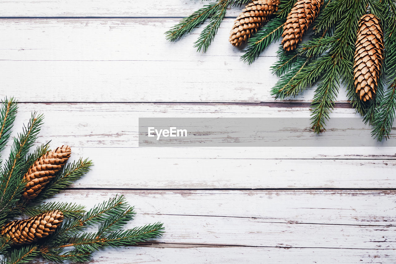 Spruce twigs and cones on white wooden background, christmas flat lay, copy space