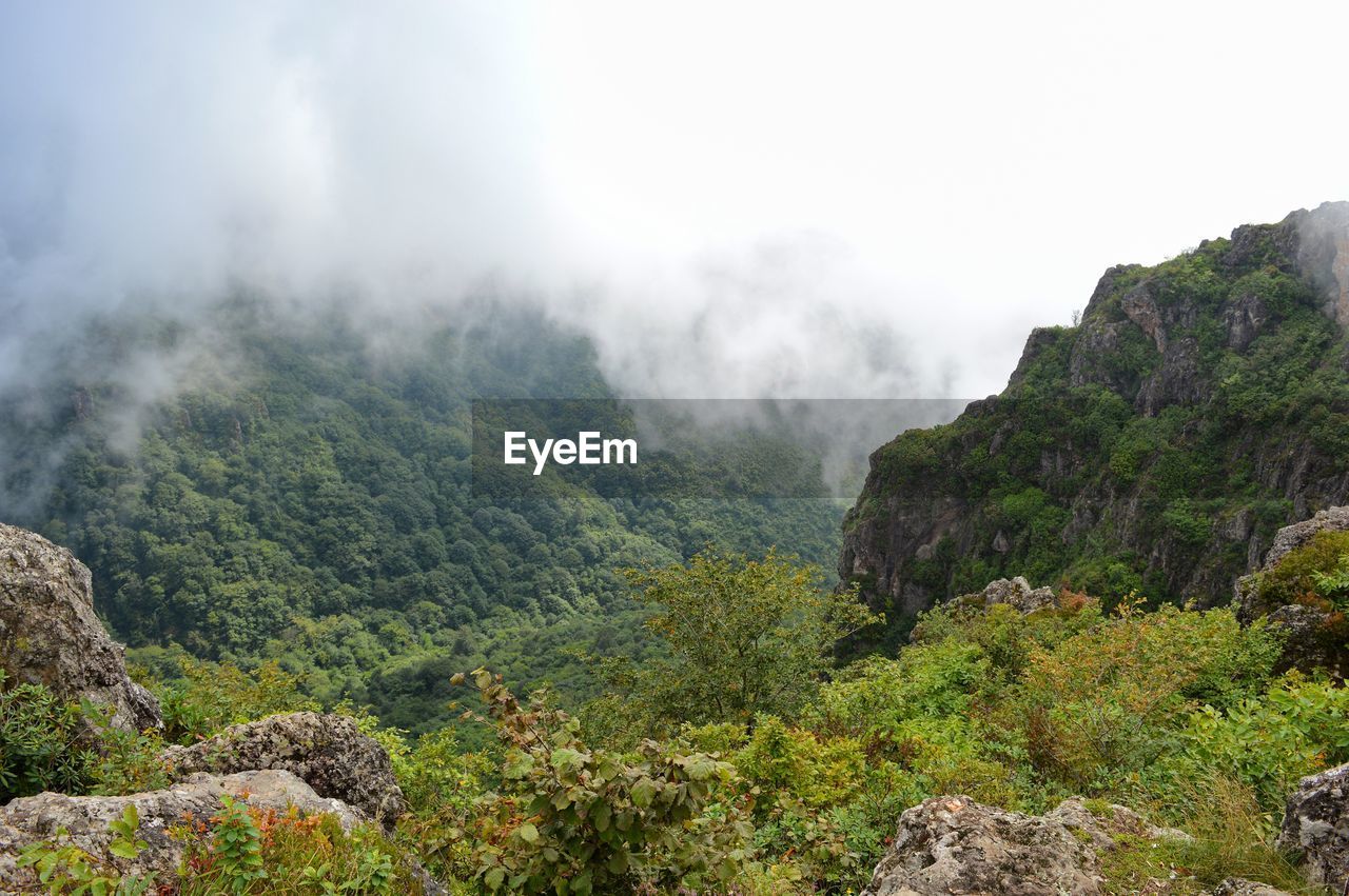 Scenic view of mountains against sky. yoroz tepesi, ordu, turkey