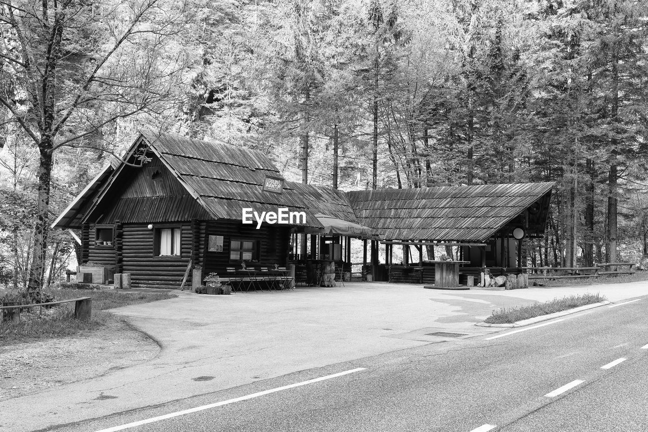 architecture, built structure, tree, building exterior, plant, road, house, building, black and white, transportation, day, residential area, no people, nature, home, monochrome, monochrome photography, city, suburb, outdoors, transport, street, residential district, rural area, shack