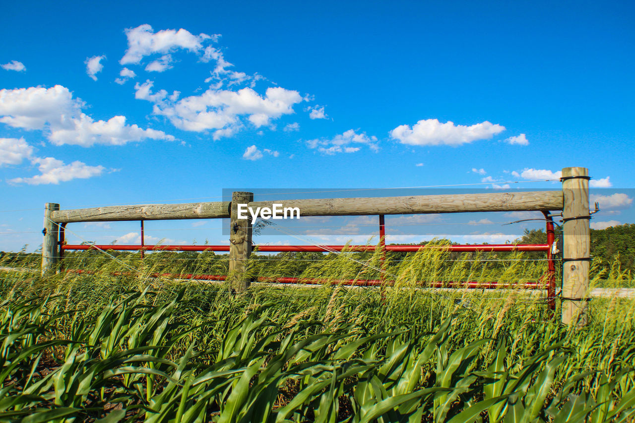 Fence on agricultural field against sky