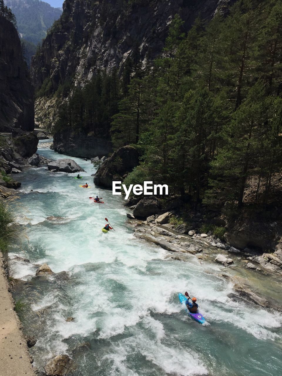 HIGH ANGLE VIEW OF MAN SURFING IN RIVER AMIDST TREES