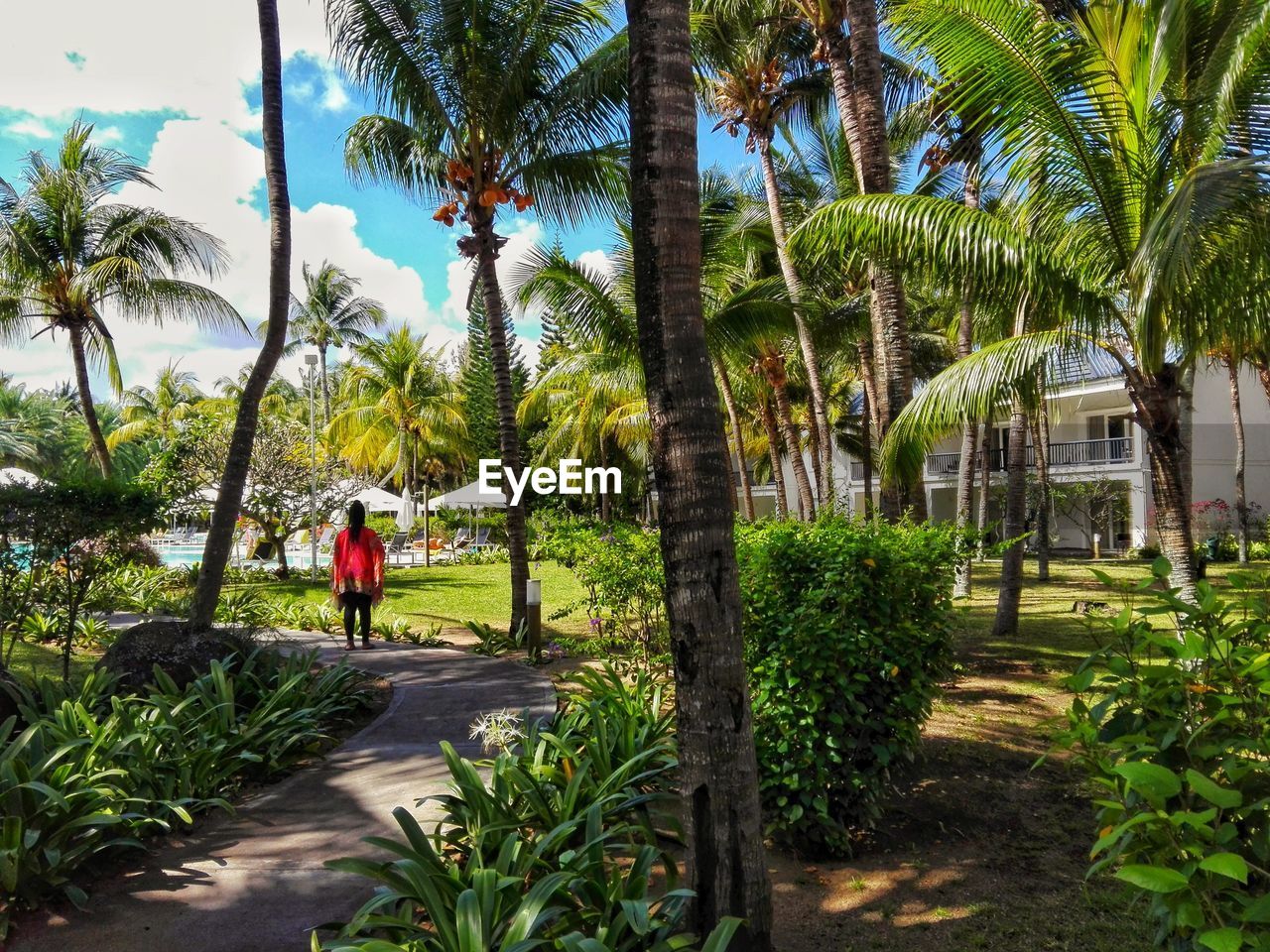 palm tree, tree, walking, growth, tropical climate, real people, lifestyles, day, full length, outdoors, tree trunk, one person, beauty in nature, leisure activity, nature, vacations, architecture, banana tree, men, grass, building exterior, beach, women, sky, adult, people, adults only