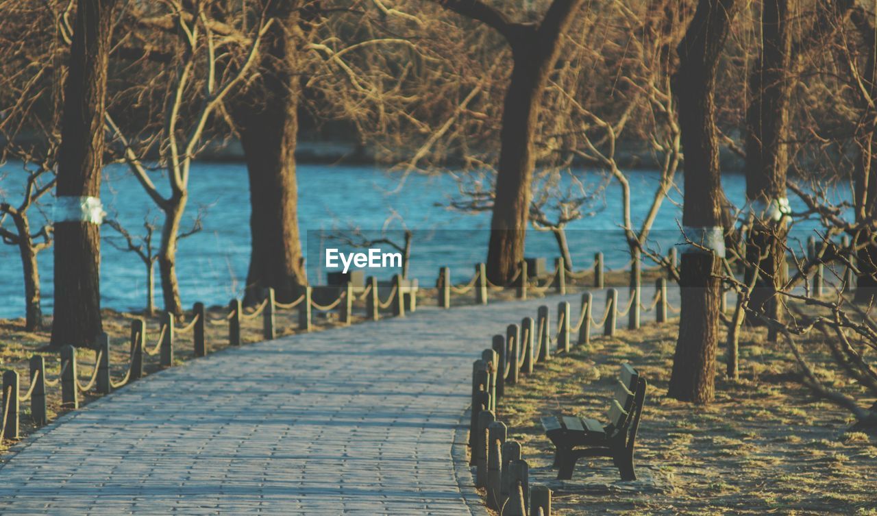 Scenic view of sea by trees