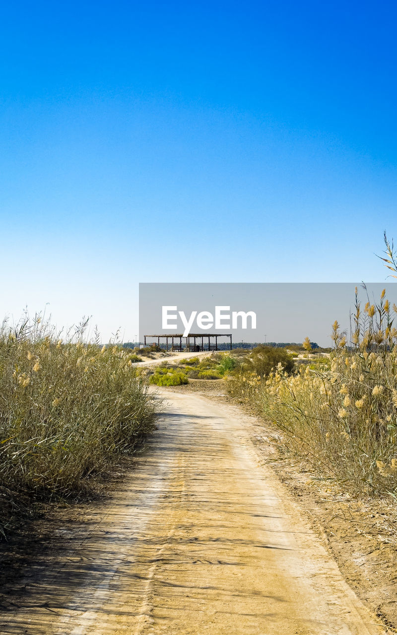 sky, horizon, nature, coast, sea, plant, shore, clear sky, rural area, land, grass, blue, landscape, natural environment, the way forward, no people, footpath, environment, sand, field, morning, scenics - nature, tranquility, water, road, day, hill, beauty in nature, walkway, outdoors, copy space, tranquil scene, dirt road, prairie, sunny, transportation, sunlight, beach, diminishing perspective, tree, travel, non-urban scene, dirt, architecture, travel destinations