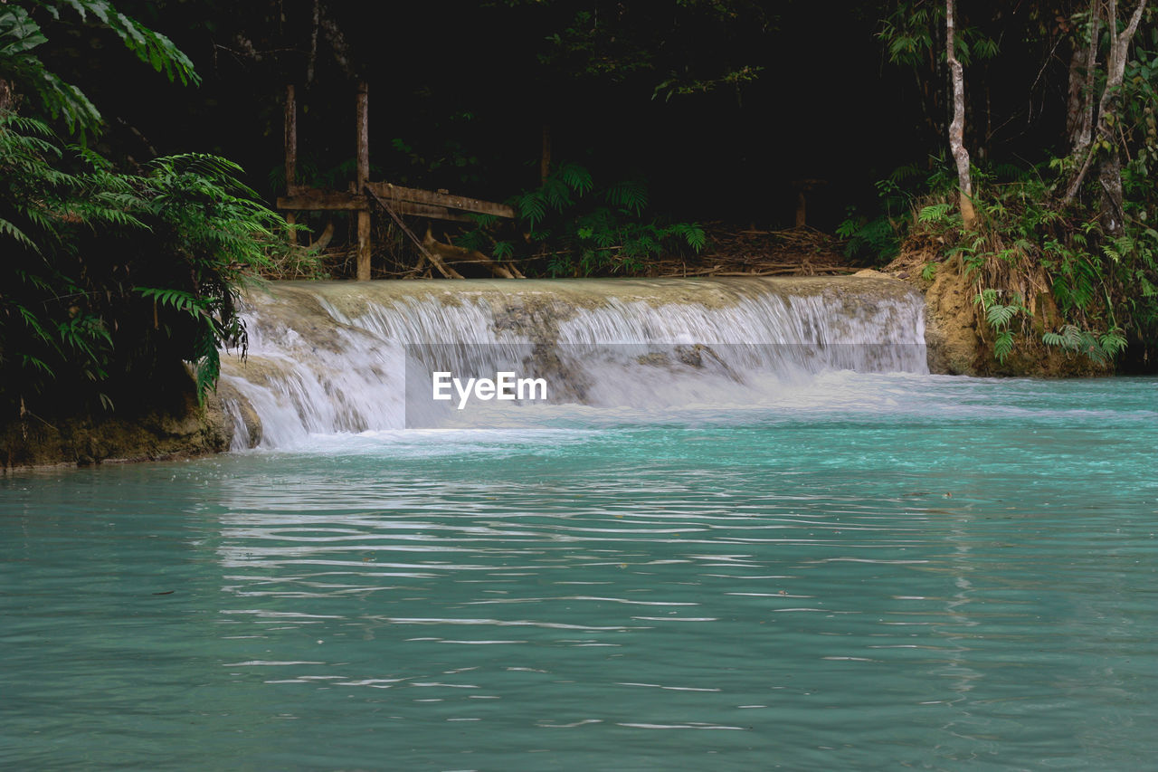 SCENIC VIEW OF WATER FLOWING IN FOREST