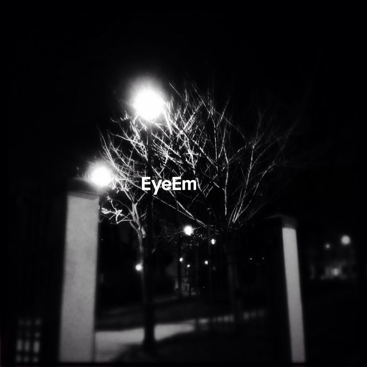 Low angle view of bare trees and illuminated street lights at night