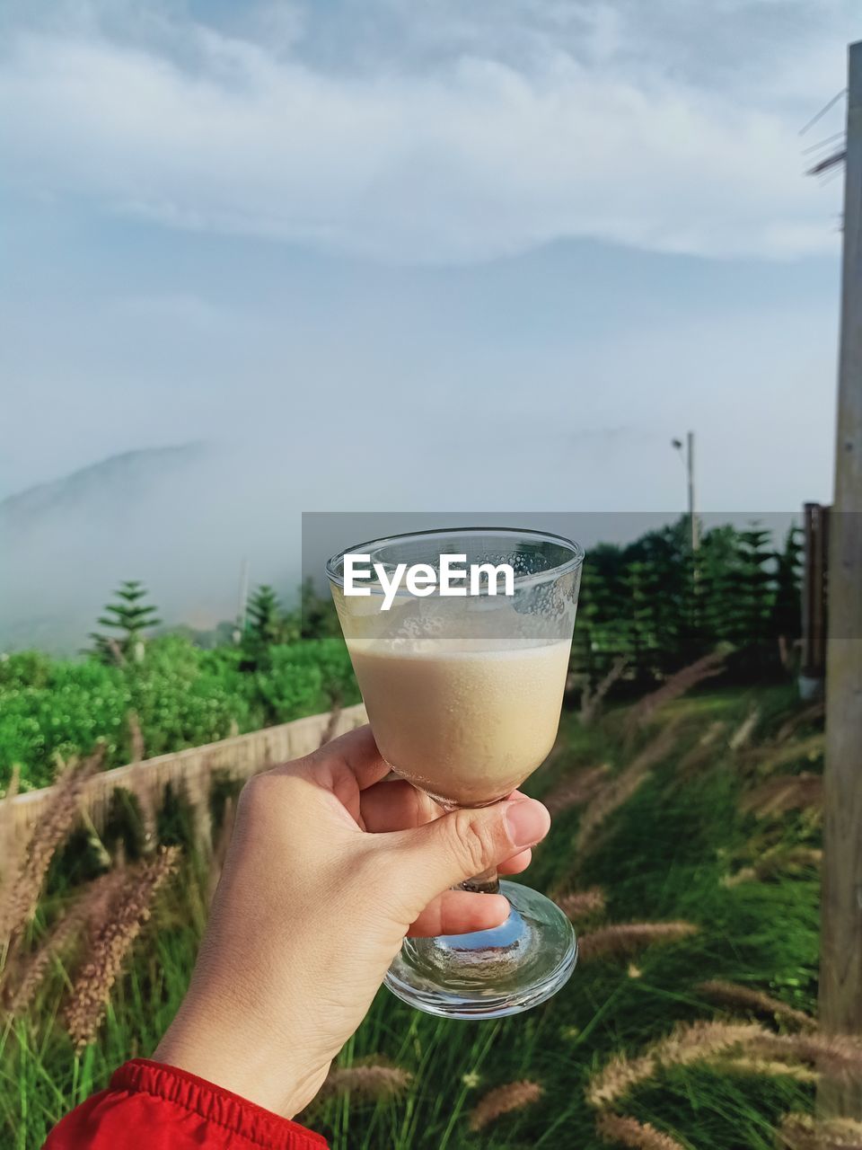 refreshment, drink, food and drink, hand, holding, one person, glass, drinking glass, adult, sky, nature, cloud, household equipment, alcohol, food, plant, lifestyles, tree, day, freshness, leisure activity, water, drinking, personal perspective, women, outdoors, close-up, land, grass