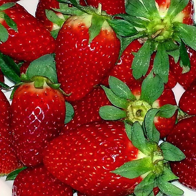 CLOSE-UP OF STRAWBERRY