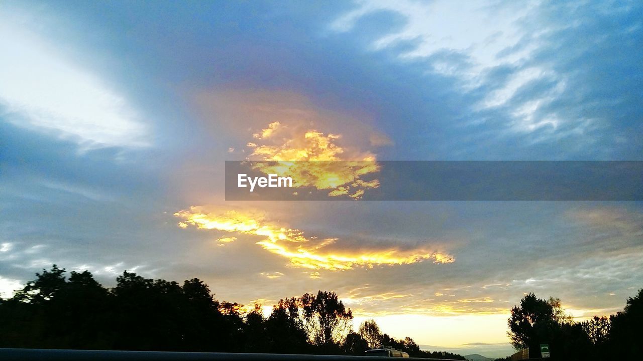 SILHOUETTE OF TREES ON FIELD AT SUNSET