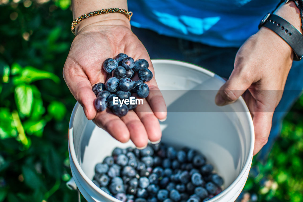 Midsection of person holding bucket with blueberries