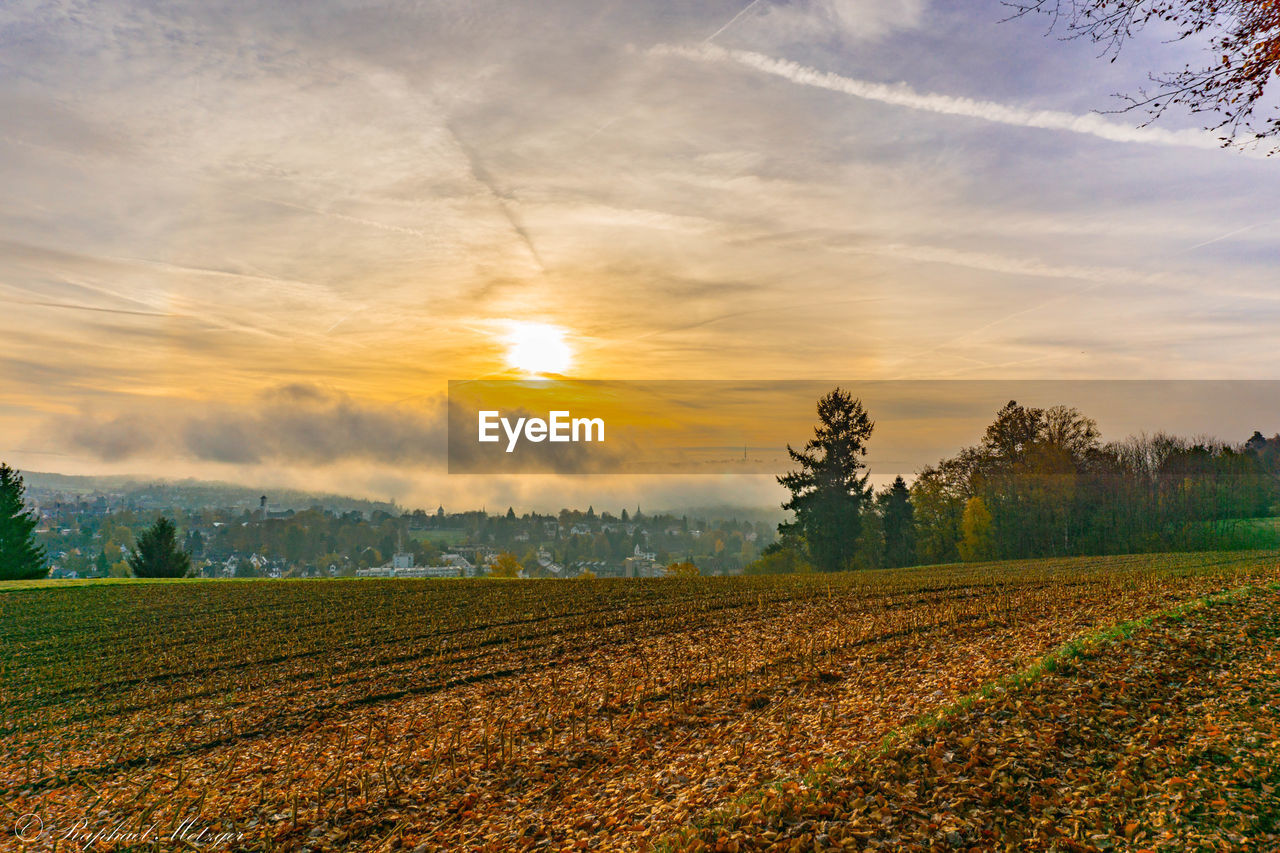 FIELD AGAINST SKY DURING SUNSET