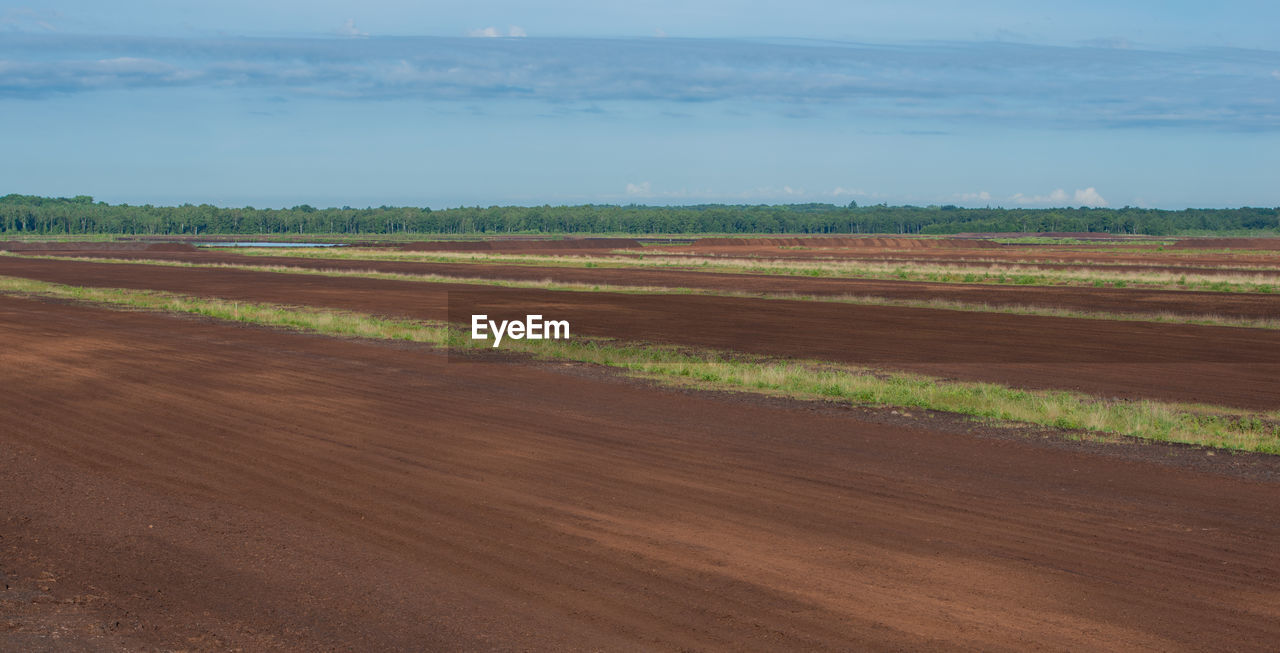 Peat extraction area in a bog landscape in the sky bog near hamburg